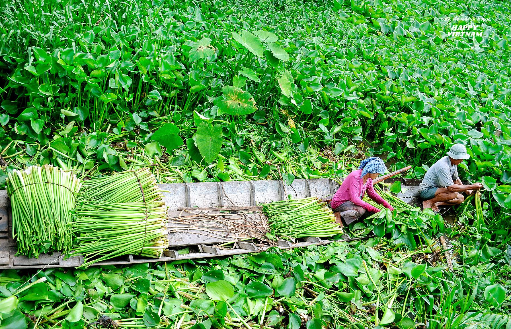 Màu xanh cuộc sống