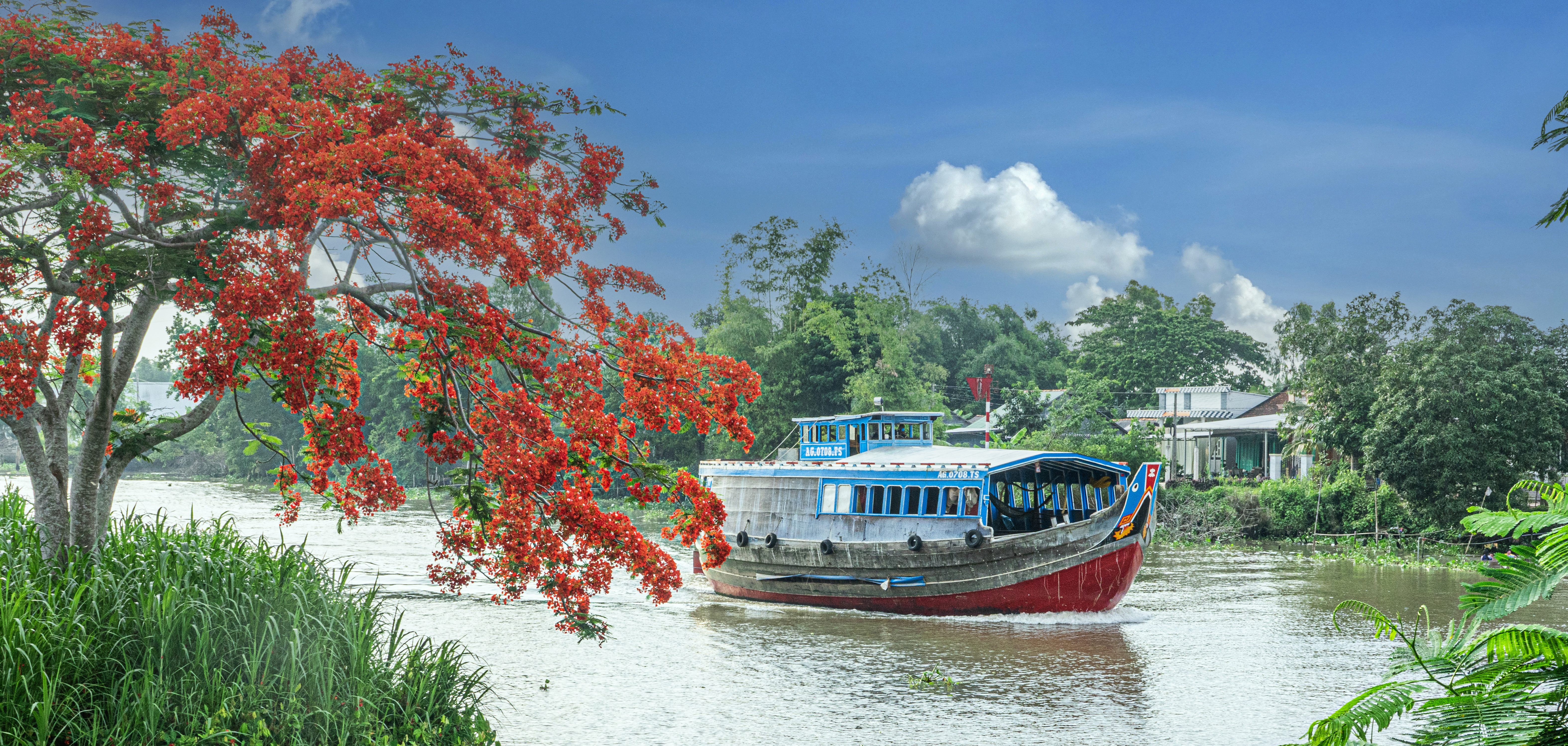 Mùa hạ thanh bình ở Đồng Tháp.