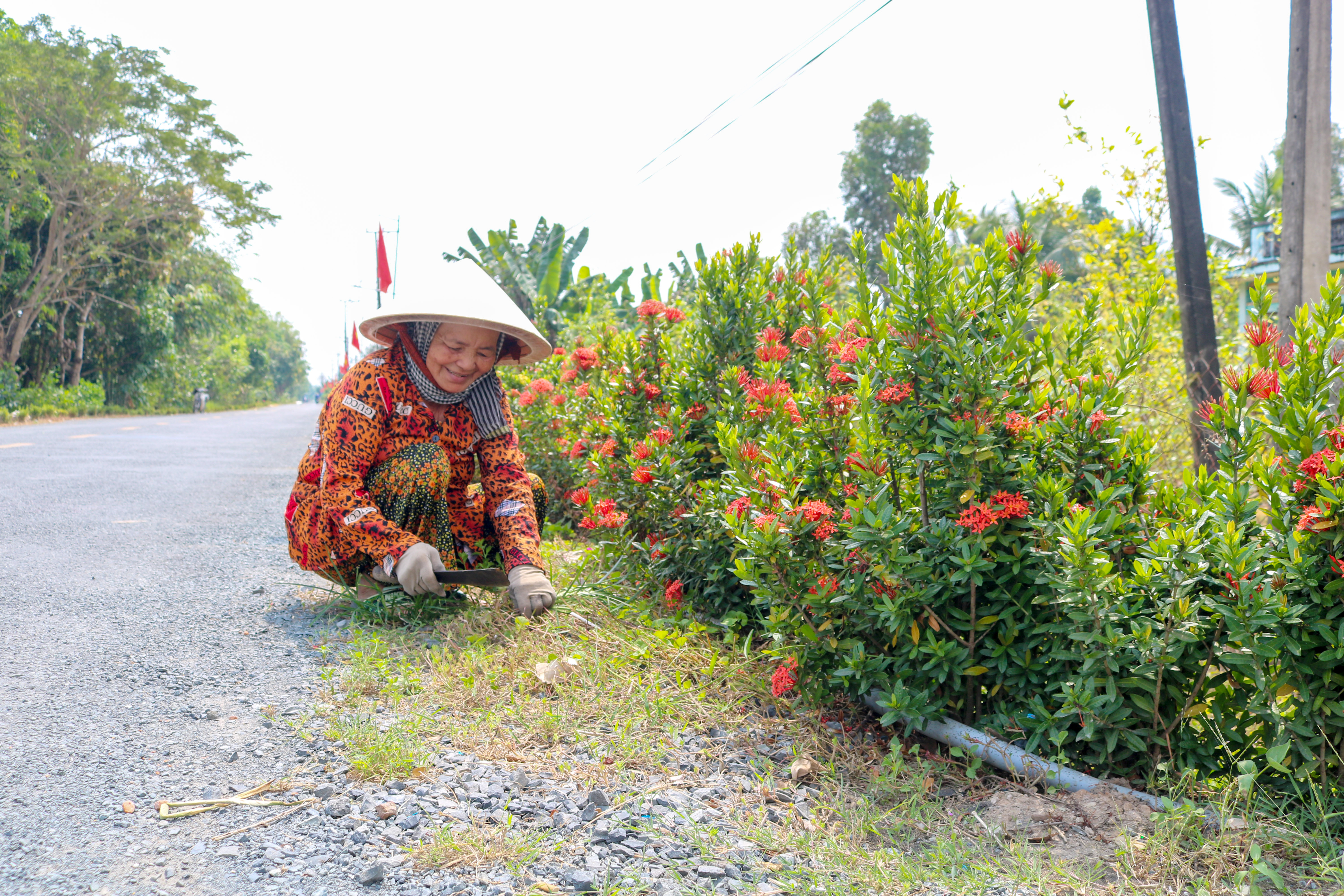 Chung tay xây dựng nông thôn mới