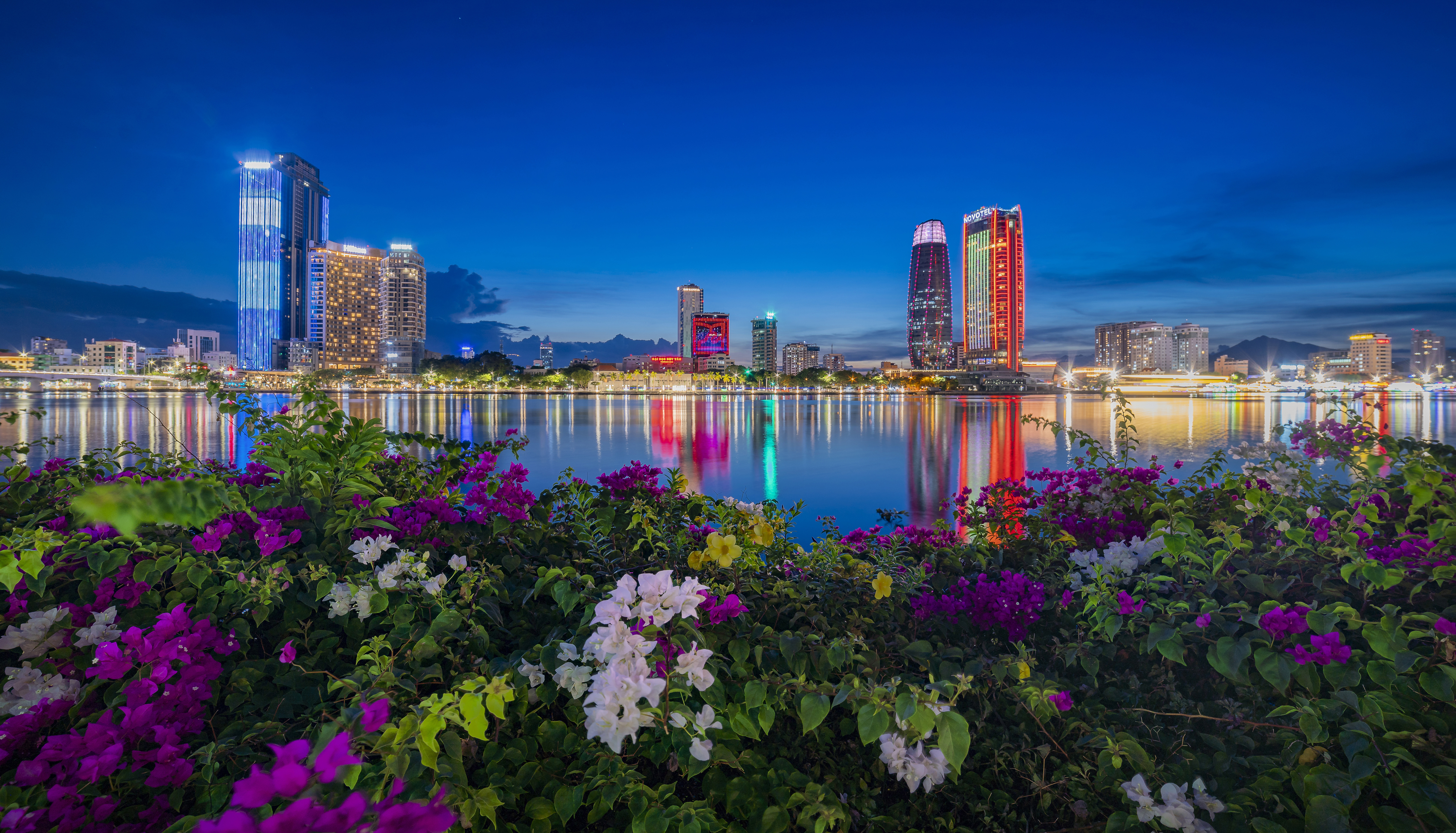 Bougainvillea Season on the Han River