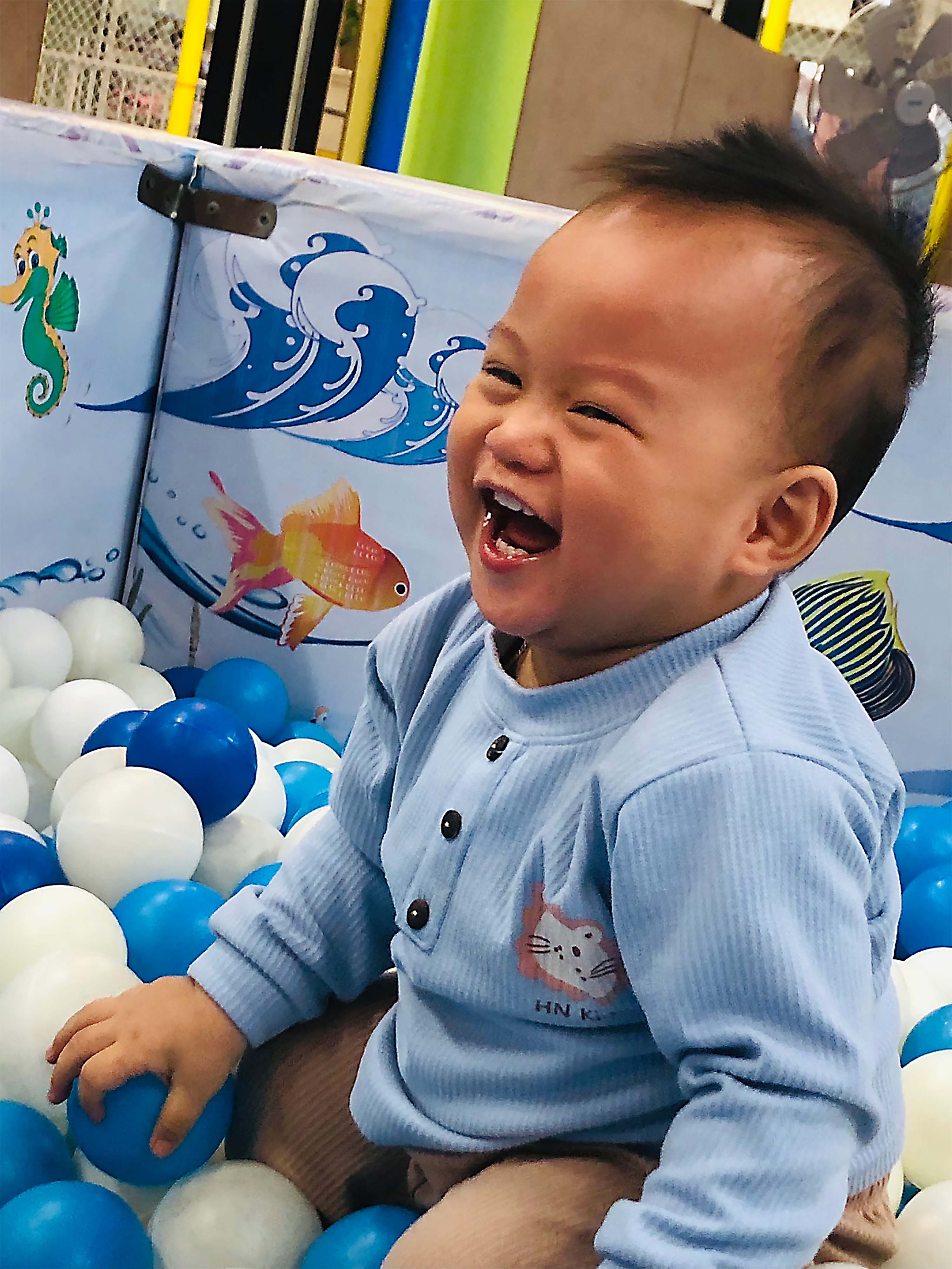 Nụ Cười Việt Nam