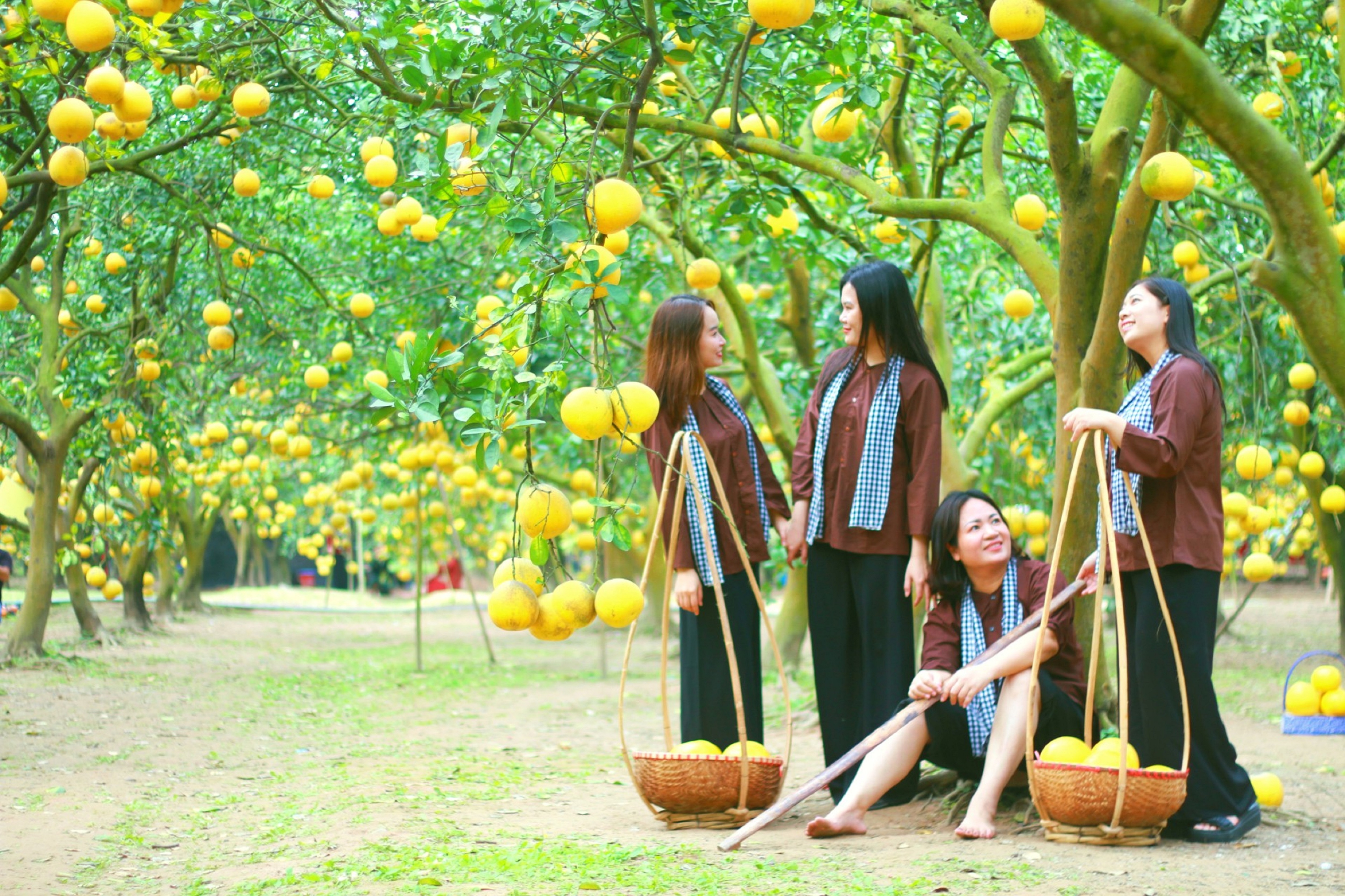 Hạnh phúc dưới ánh nắng