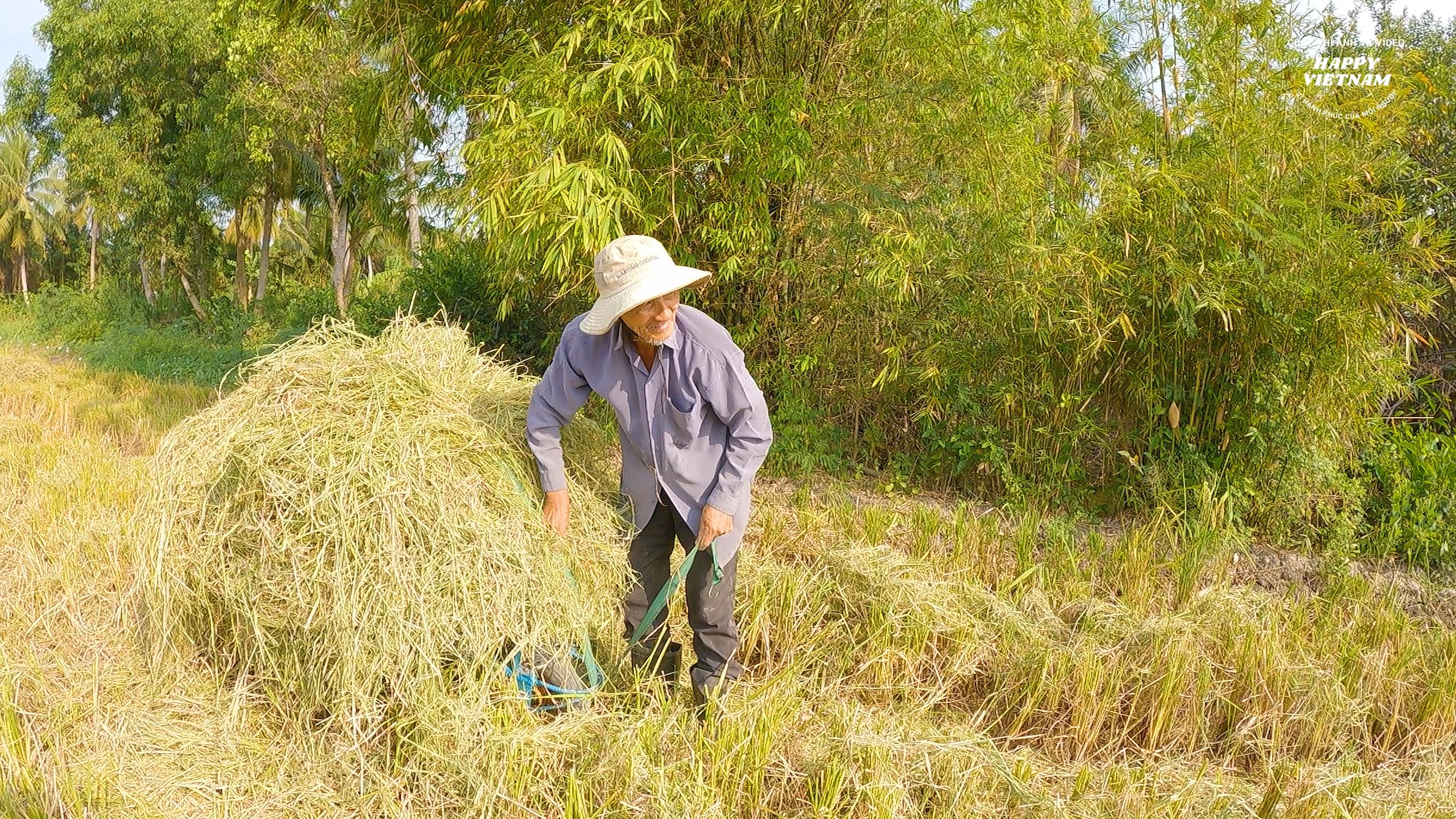 Chất Rơm