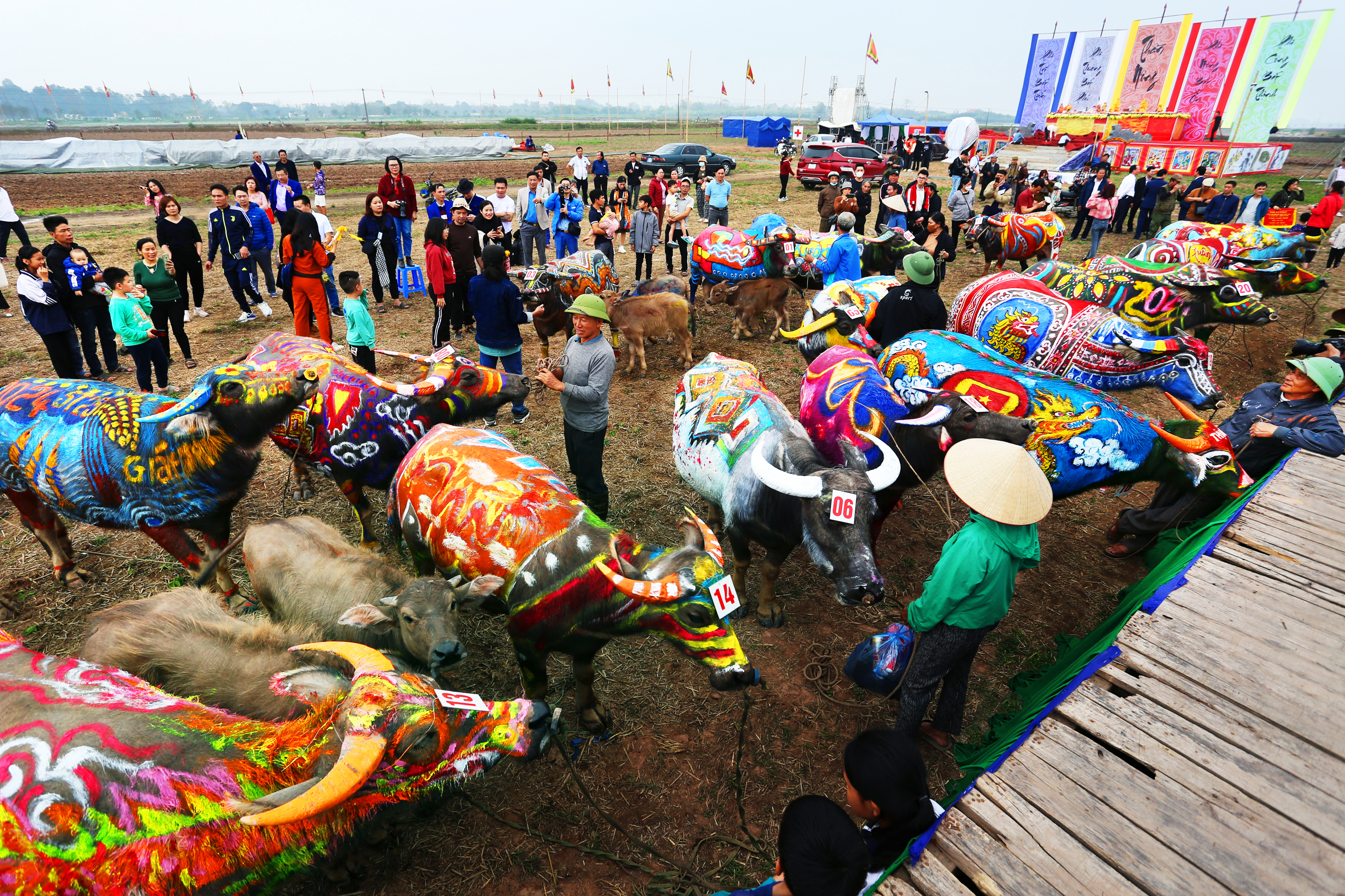 Những con trâu Tịch Điền