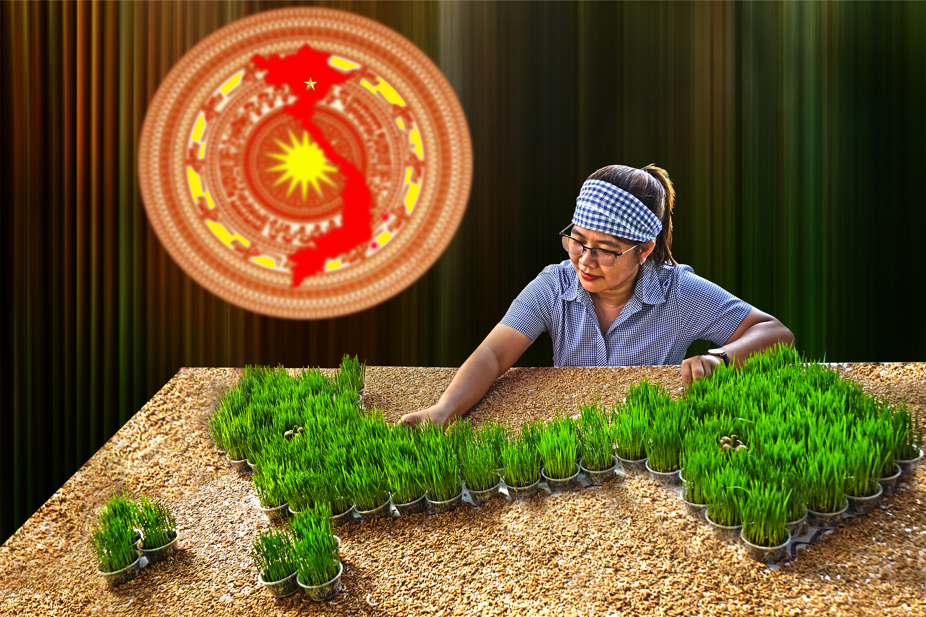 Vietnam is always in my heart