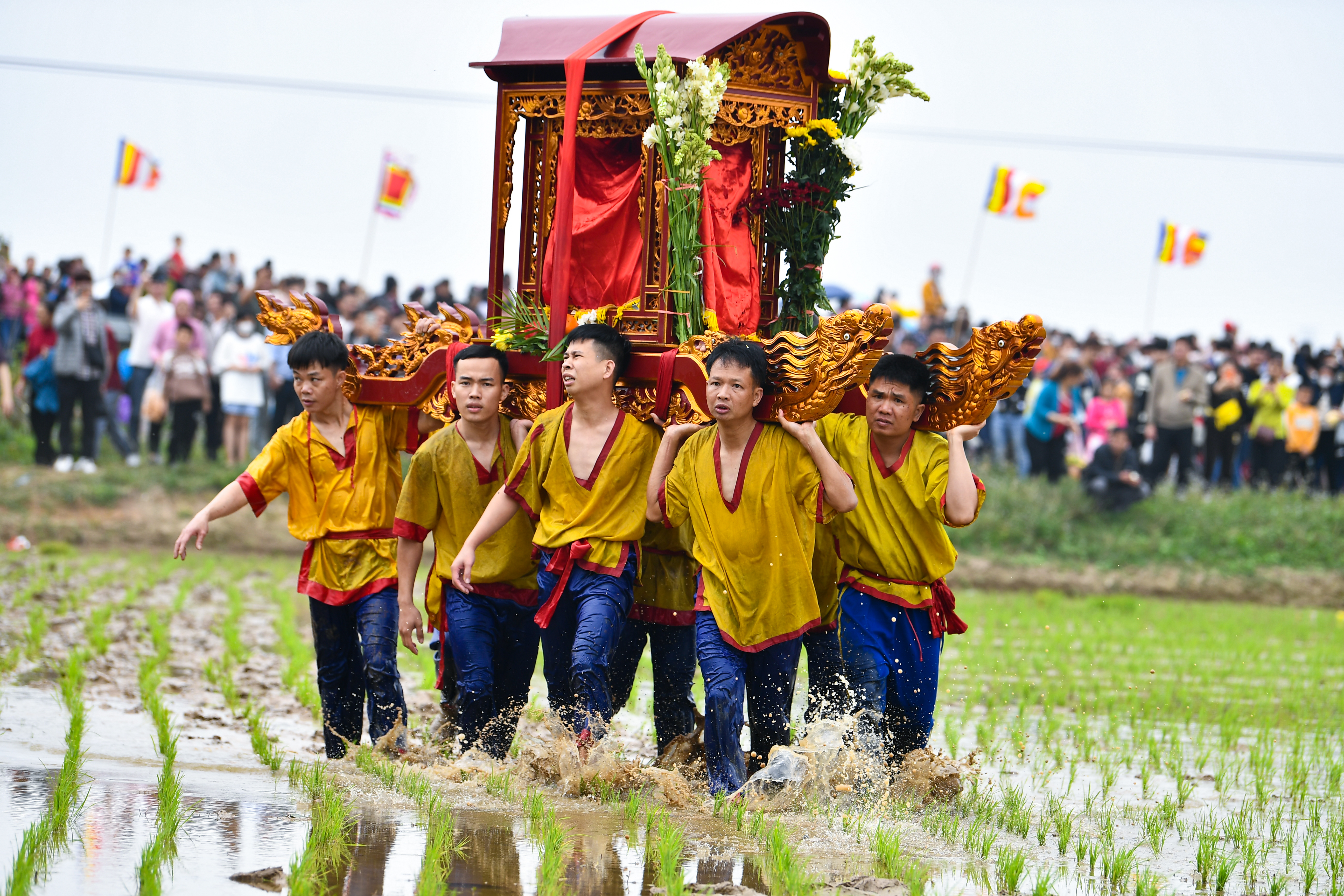 Rước kiệu lội ruộng ở Lễ hội chùa Phượng Vũ