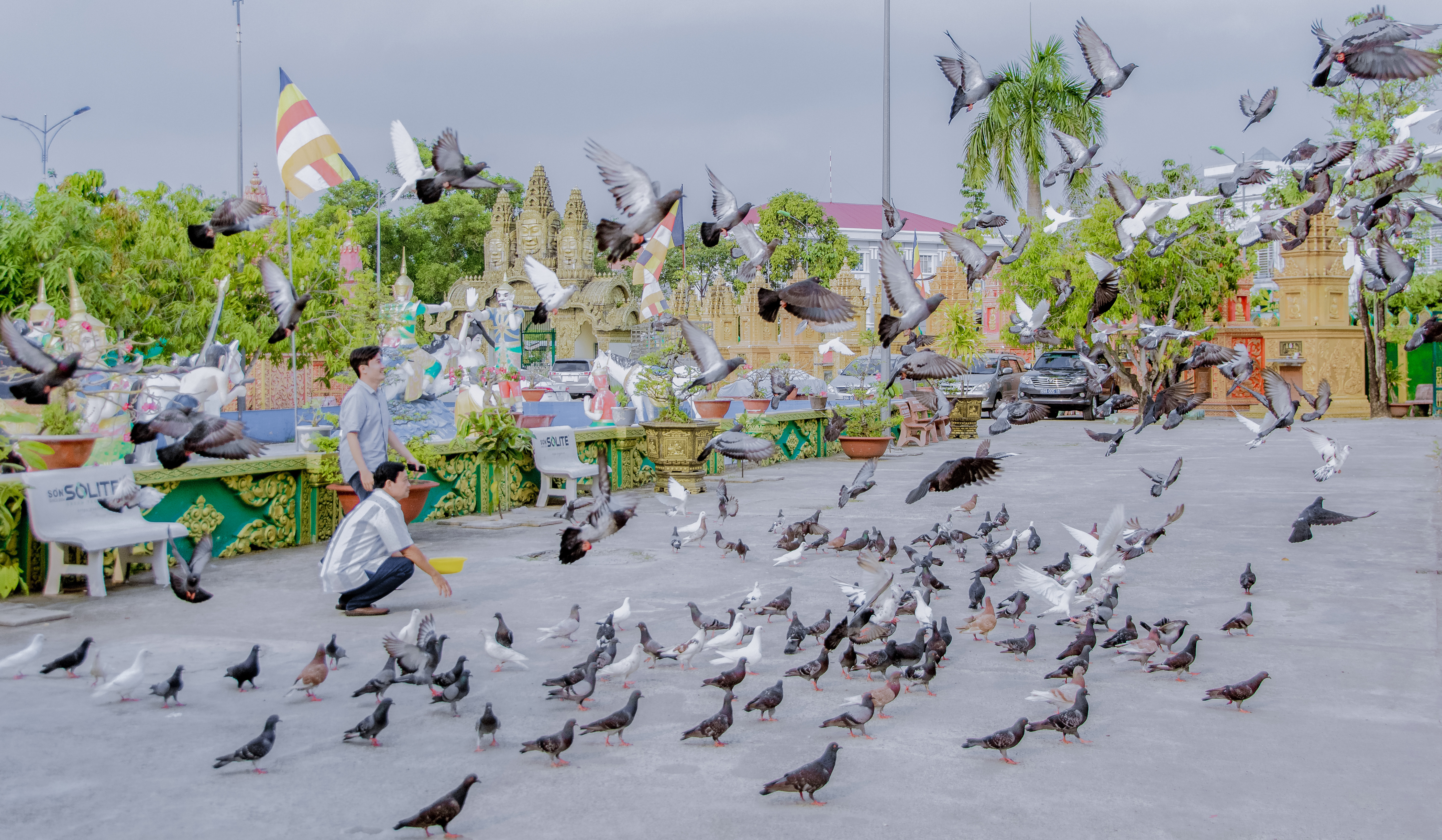 Bay lên tầm cao mới