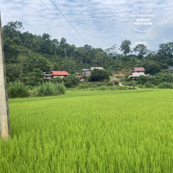 Yên Bình