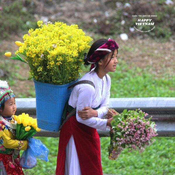 Mùa xuân trên cao nguyên đá Đồng Văn
