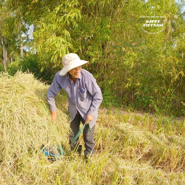 Chất Rơm