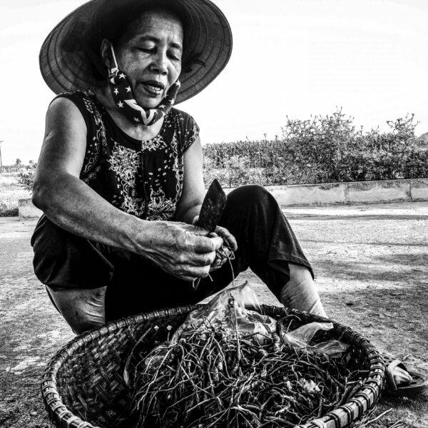 Hạnh phúc của mẹ