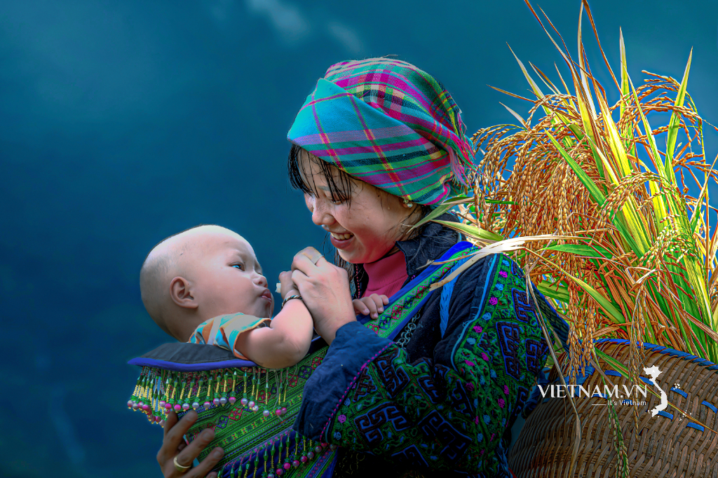 Hạnh phúc mùa vàng